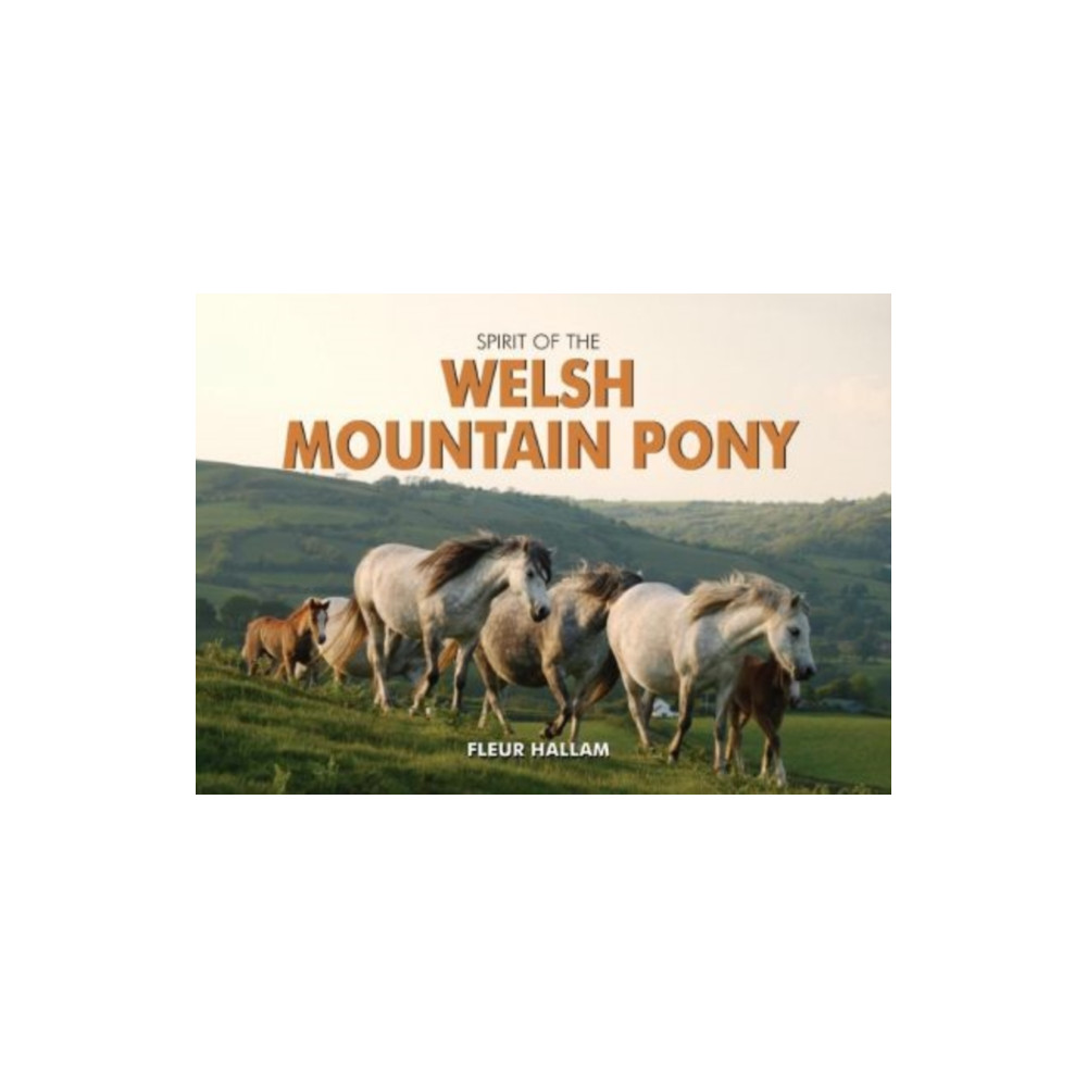 Produktbild för Spirit of the Welsh Mountain Pony (inbunden, eng)