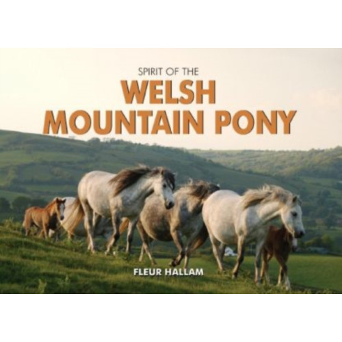 PiXZ Books Spirit of the Welsh Mountain Pony (inbunden, eng)