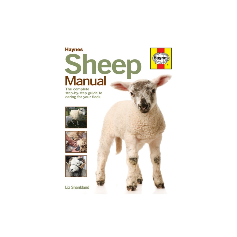 Produktbild för Sheep Manual (inbunden, eng)