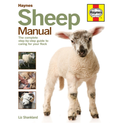 Haynes Publishing Group Sheep Manual (inbunden, eng)