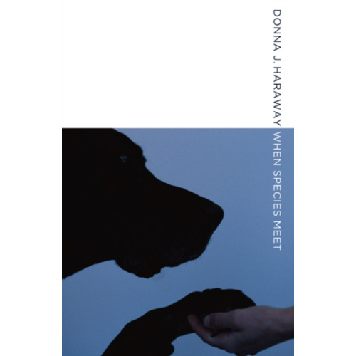 University of Minnesota Press When Species Meet (häftad, eng)