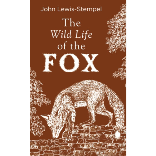 Transworld publishers ltd The Wild Life of the Fox (inbunden, eng)