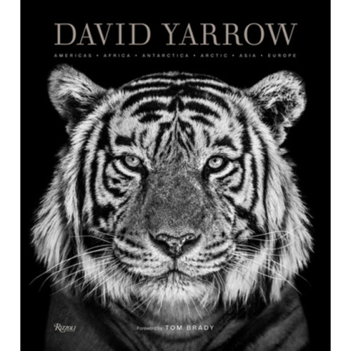 Rizzoli International Publications David Yarrow Photography (inbunden, eng)