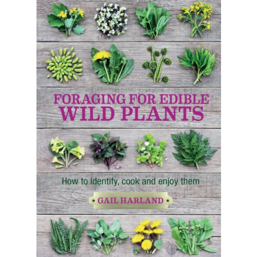 Bloomsbury Publishing PLC Foraging for Edible Wild Plants (häftad, eng)