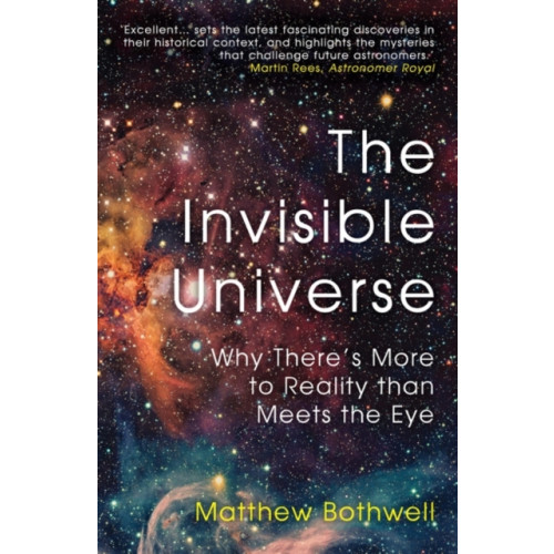 Oneworld Publications The Invisible Universe (häftad, eng)