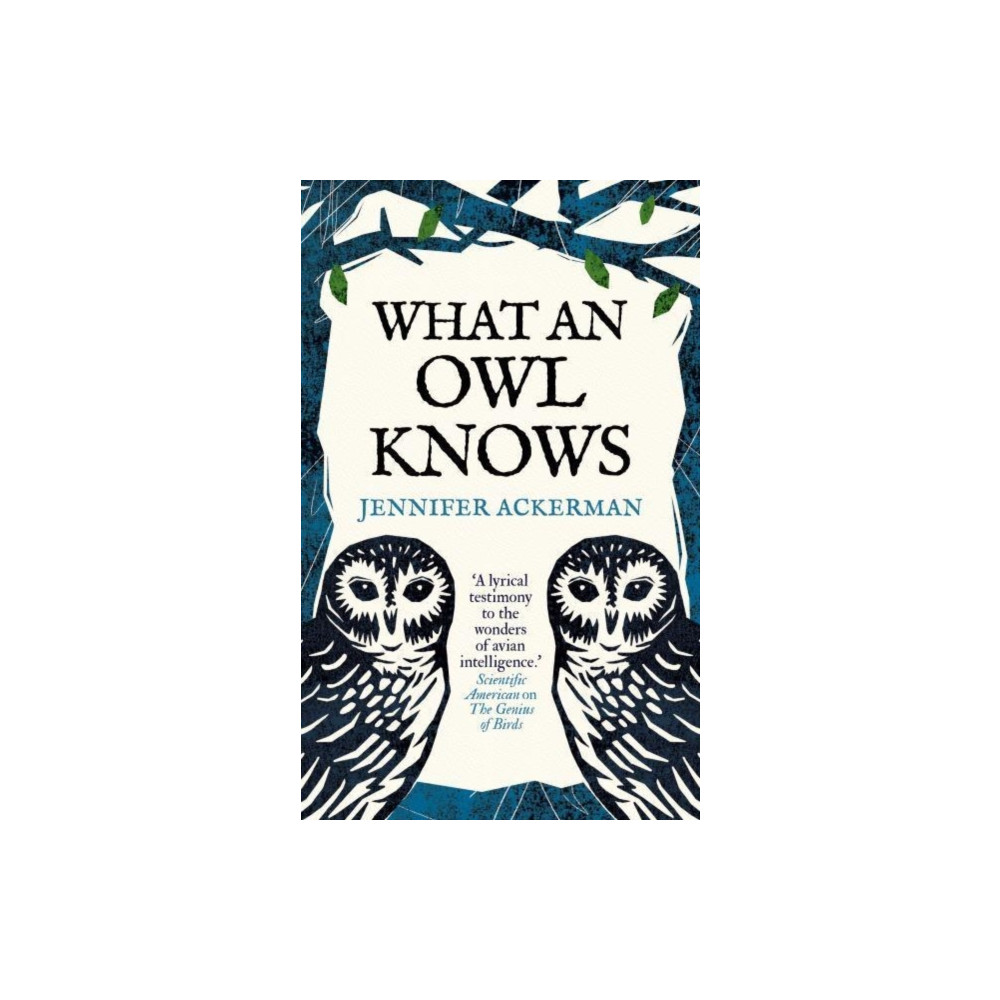Produktbild för What an Owl Knows (inbunden, eng)