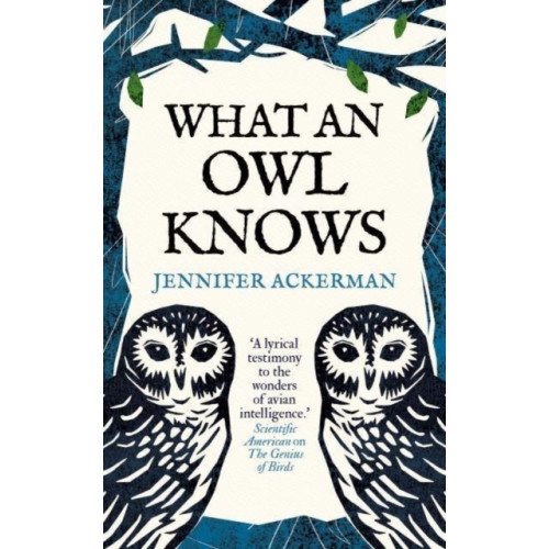 Oneworld Publications What an Owl Knows (inbunden, eng)