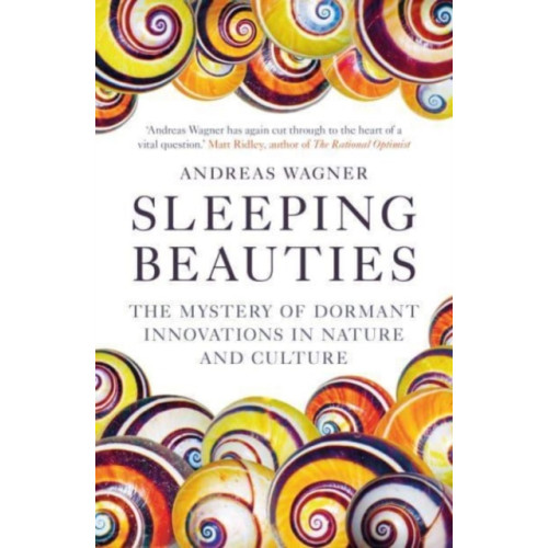 Oneworld Publications Sleeping Beauties (häftad, eng)