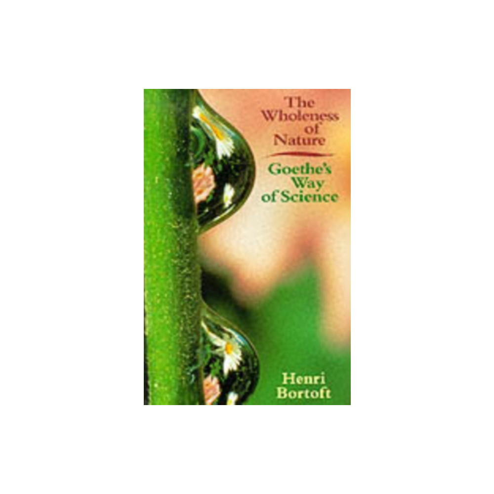 Produktbild för The Wholeness of Nature (häftad, eng)