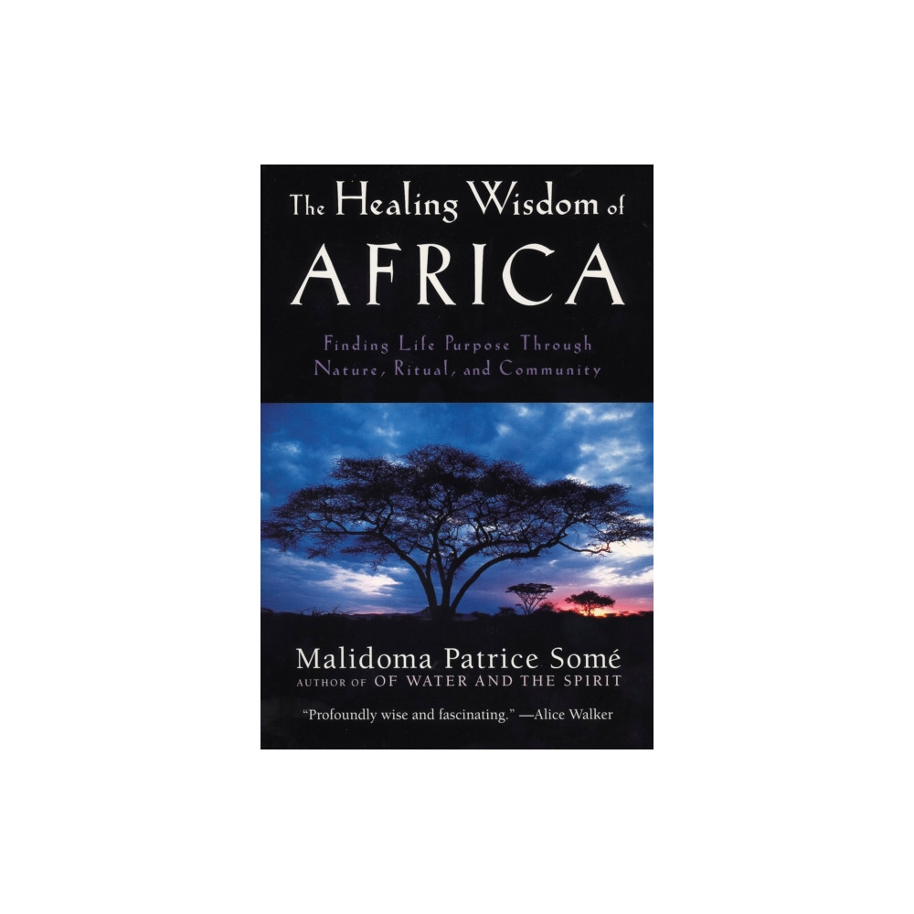 Produktbild för The Healing Wisdom of Africa (häftad, eng)