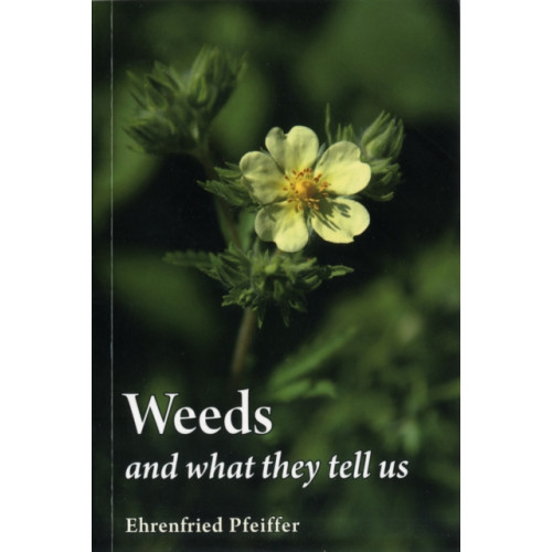 Floris Books Weeds and What They Tell Us (häftad, eng)