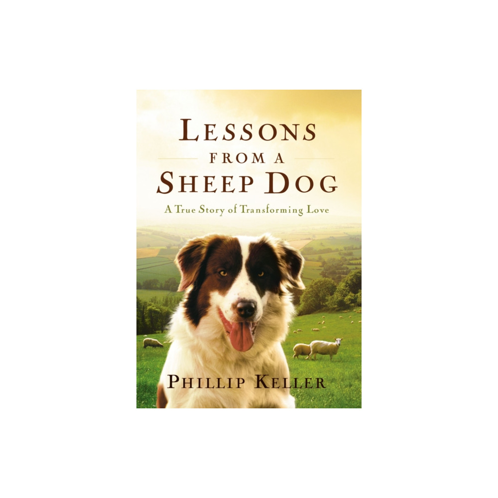 Produktbild för Lessons from a Sheep Dog (inbunden, eng)