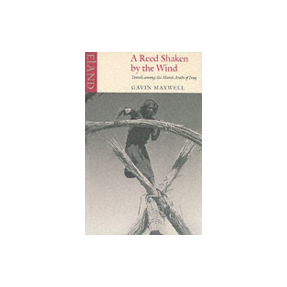Produktbild för A Reed Shaken by the Wind (häftad, eng)