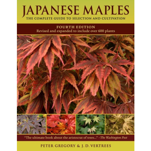 Workman Publishing Japanese Maples (inbunden, eng)