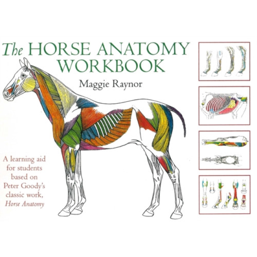The Crowood Press Ltd Horse Anatomy Workbook (bok, spiral, eng)