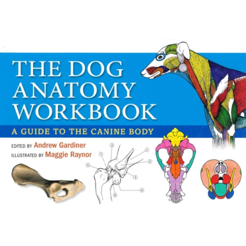 The Crowood Press Ltd Dog Anatomy Workbook (bok, spiral, eng)