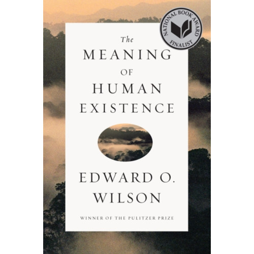 WW Norton & Co The Meaning of Human Existence (inbunden, eng)