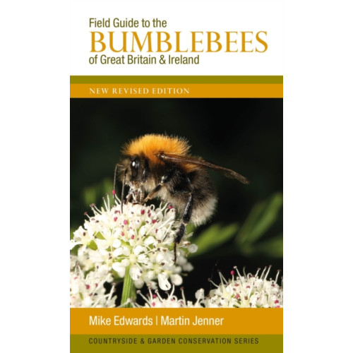 Formula Creative Consultants Field Guide to the Bumblebees of Great Britain and Ireland (häftad, eng)