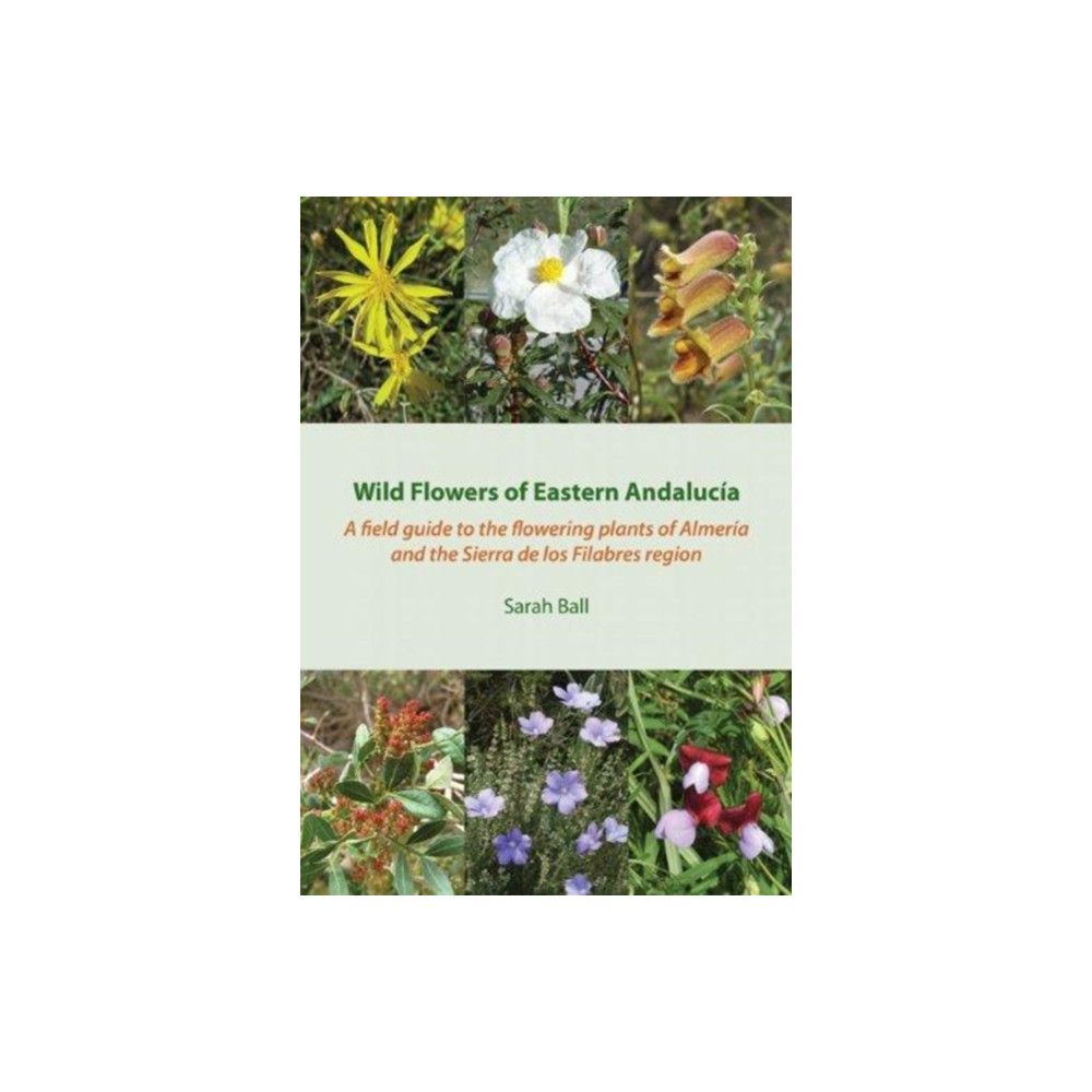 Produktbild för Wild Flowers of Eastern Andalucia (häftad, eng)