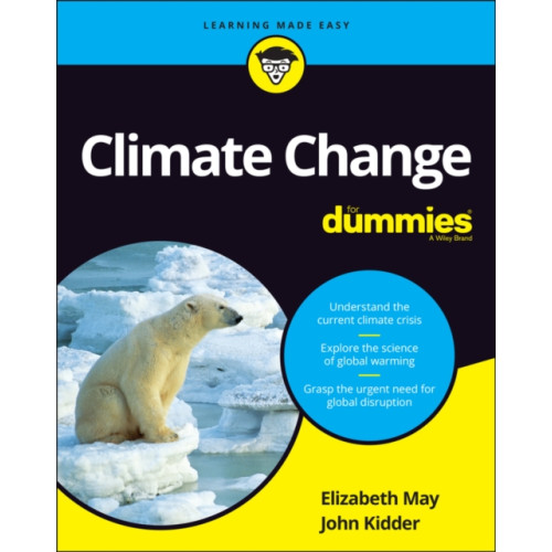 John Wiley & Sons Inc Climate Change For Dummies (häftad, eng)