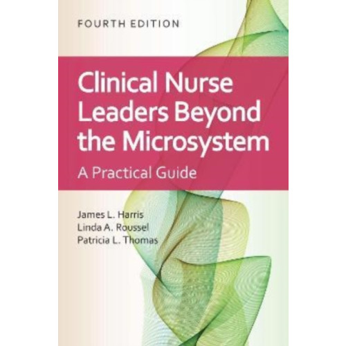 Jones and Bartlett Publishers, Inc Clinical Nurse Leaders Beyond the Microsystem (häftad, eng)