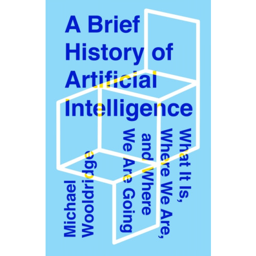 Flatiron Books A Brief History of Artificial Intelligence (inbunden, eng)