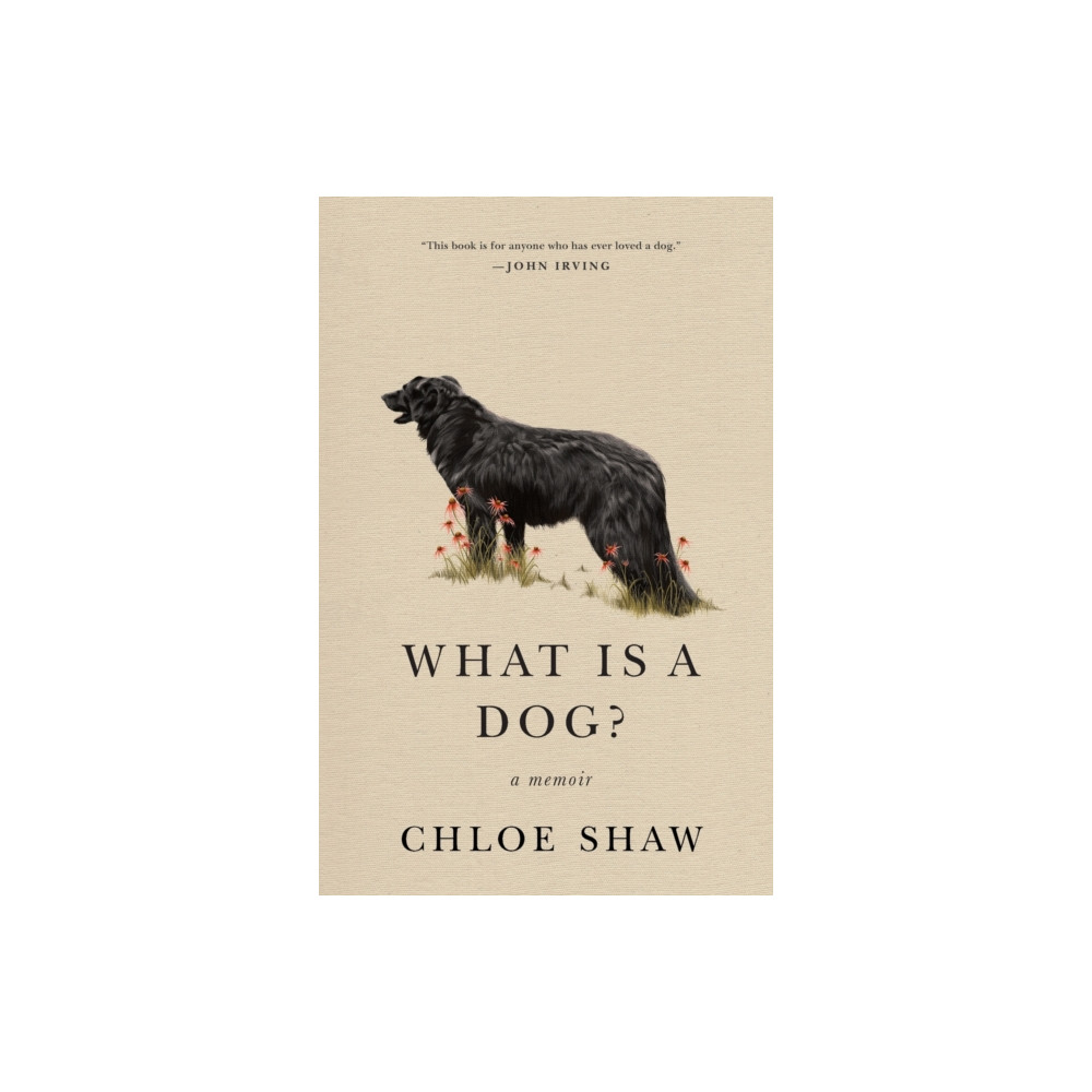 Produktbild för What Is a Dog? (häftad, eng)