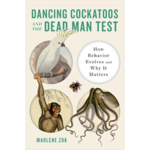 WW Norton & Co Dancing Cockatoos and the Dead Man Test (inbunden, eng)