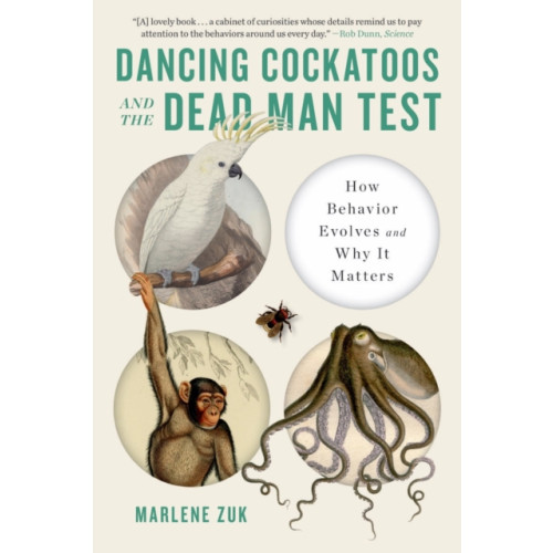 WW Norton & Co Dancing Cockatoos and the Dead Man Test (häftad, eng)