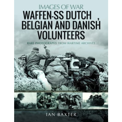 Pen & Sword Books Ltd Waffen-SS Dutch & Belgian Volunteers (häftad, eng)