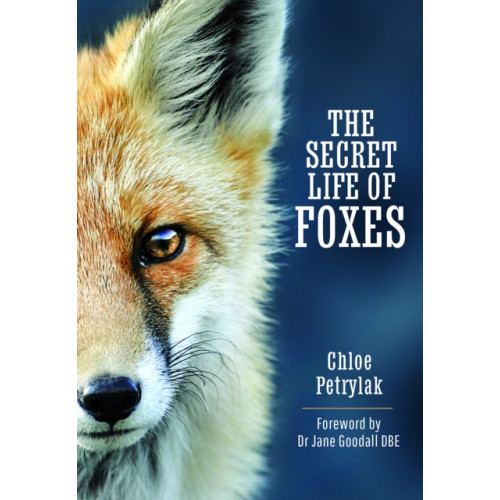 Pen & Sword Books Ltd The Secret Life of Foxes (inbunden, eng)