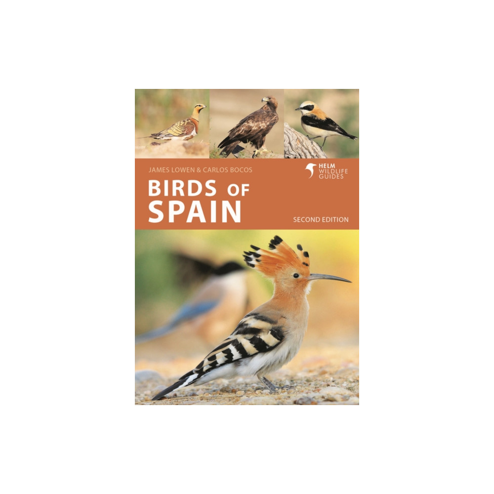Produktbild för Birds of Spain (häftad, eng)