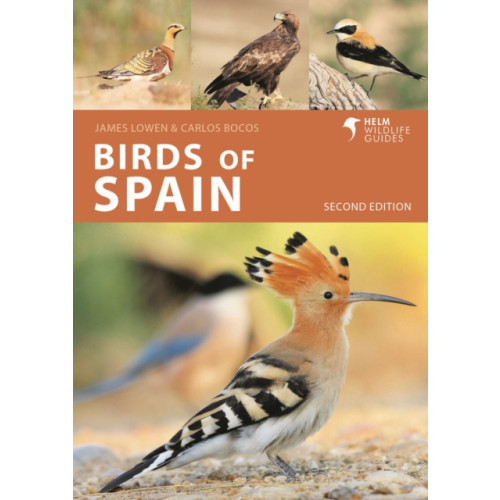 Bloomsbury Publishing PLC Birds of Spain (häftad, eng)