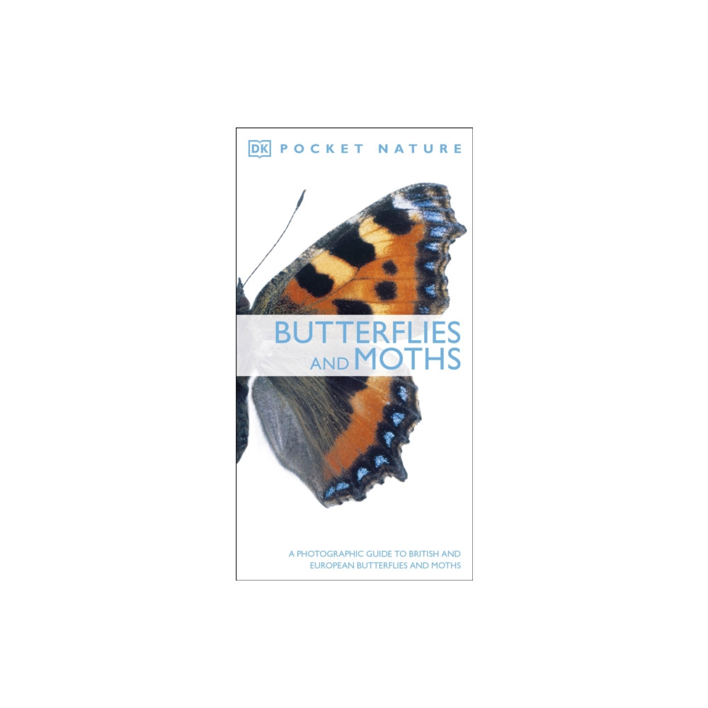 Produktbild för Butterflies and Moths (häftad, eng)