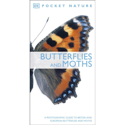 Dorling Kindersley Ltd Butterflies and Moths (häftad, eng)
