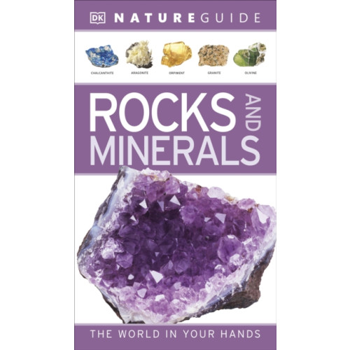 Dorling Kindersley Ltd Nature Guide Rocks and Minerals (häftad, eng)