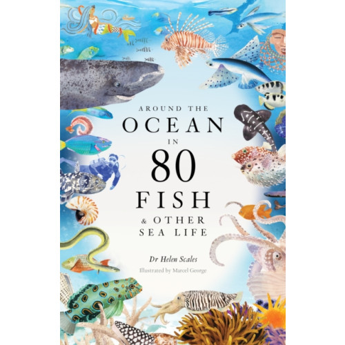 Orion Publishing Co Around the Ocean in 80 Fish and other Sea Life (inbunden, eng)