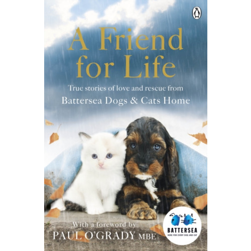 Penguin books ltd A Friend for Life (häftad, eng)