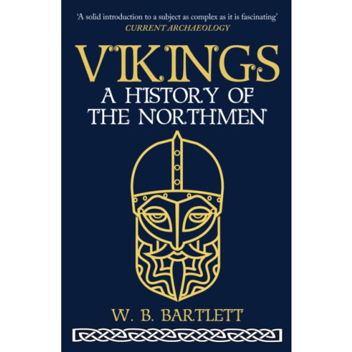 Amberley Publishing Vikings (häftad, eng)