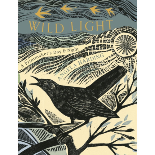 Little, Brown Book Group Wild Light (inbunden, eng)