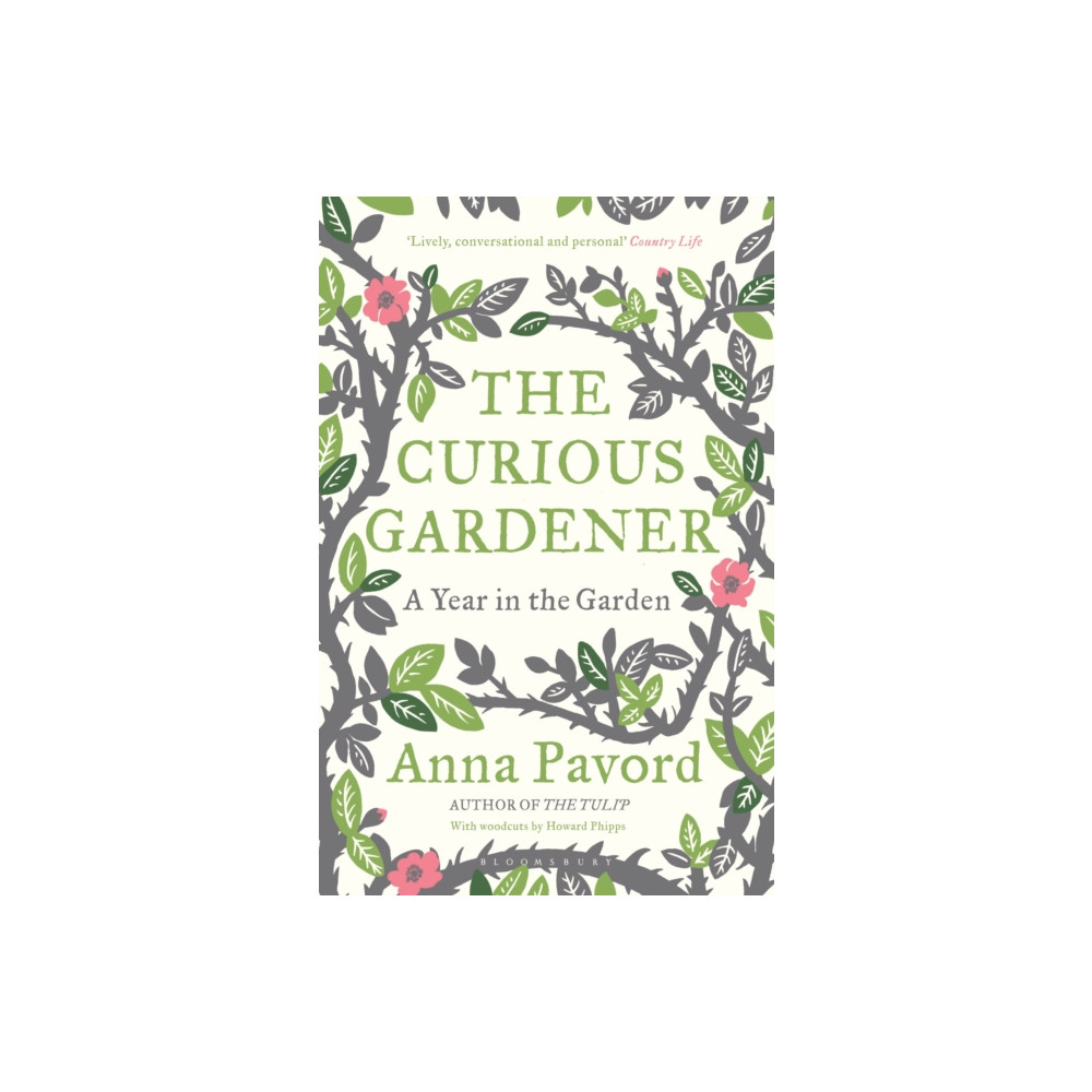 Produktbild för The Curious Gardener (häftad, eng)