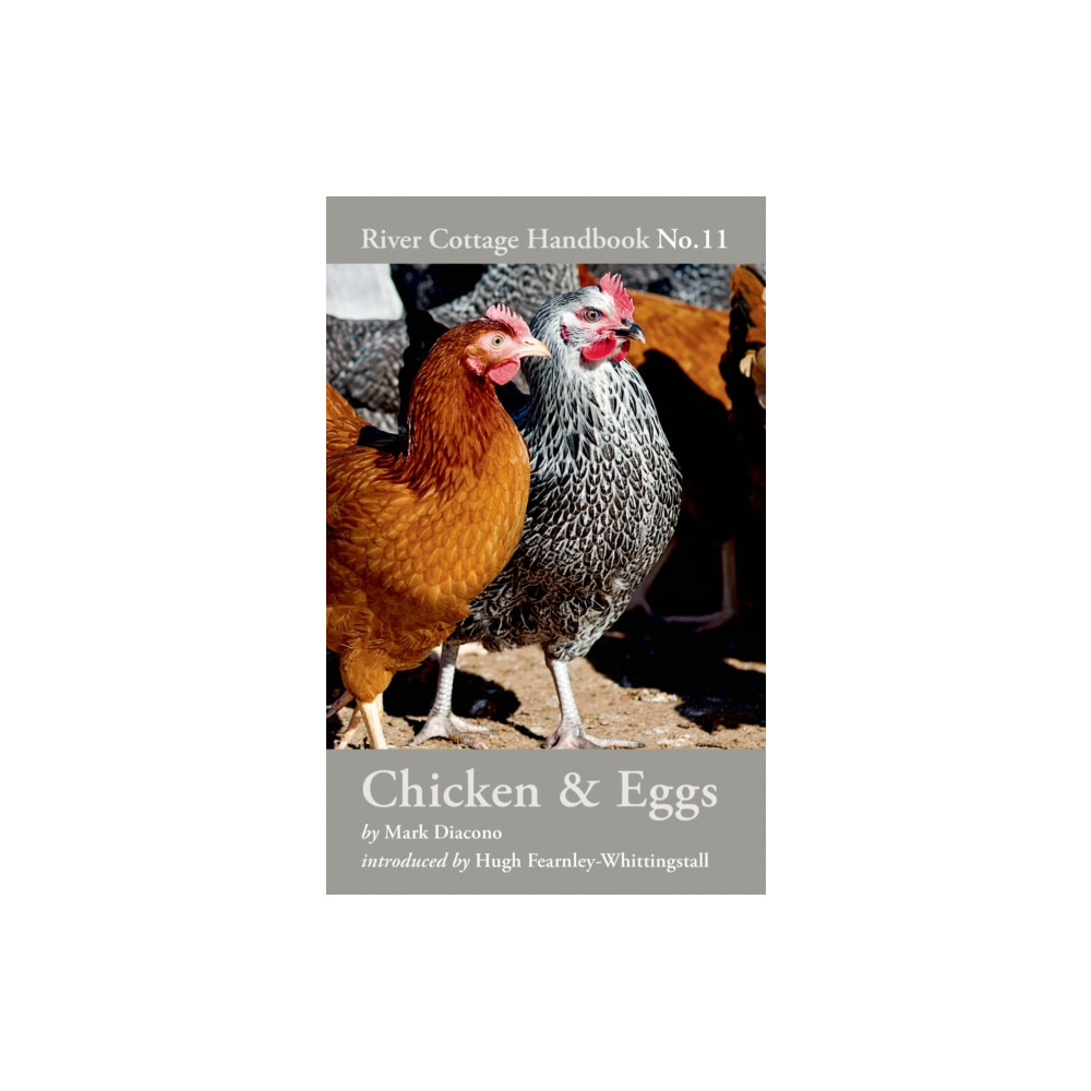 Produktbild för Chicken & Eggs (inbunden, eng)
