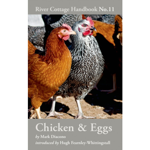 Bloomsbury Publishing PLC Chicken & Eggs (inbunden, eng)