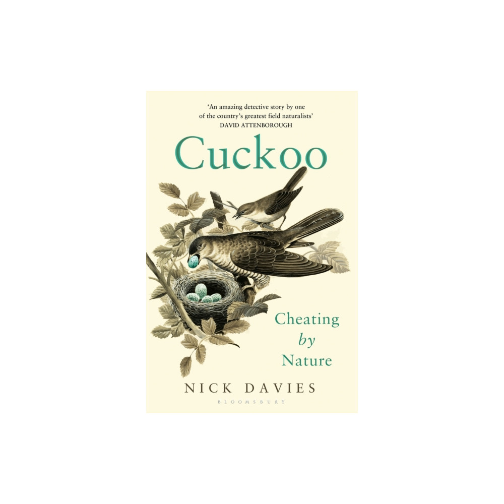 Produktbild för Cuckoo (häftad, eng)