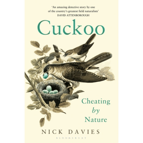 Bloomsbury Publishing PLC Cuckoo (häftad, eng)
