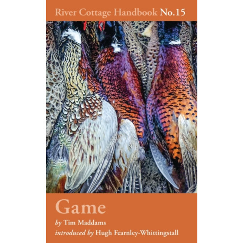 Bloomsbury Publishing PLC Game (inbunden, eng)