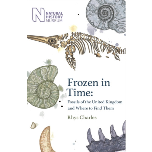 Orion Publishing Co Frozen in Time (inbunden, eng)