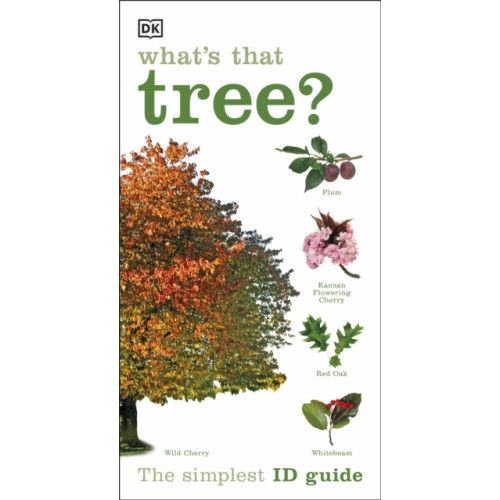 Dorling Kindersley Ltd What's that Tree? (häftad, eng)