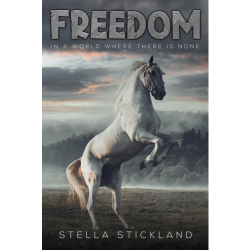 Austin Macauley Publishers Freedom (häftad, eng)