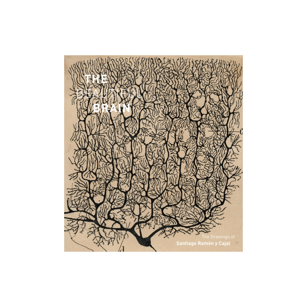 Produktbild för The Beautiful Brain (inbunden, eng)